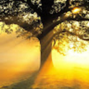 Meet your Posher, Lameesa